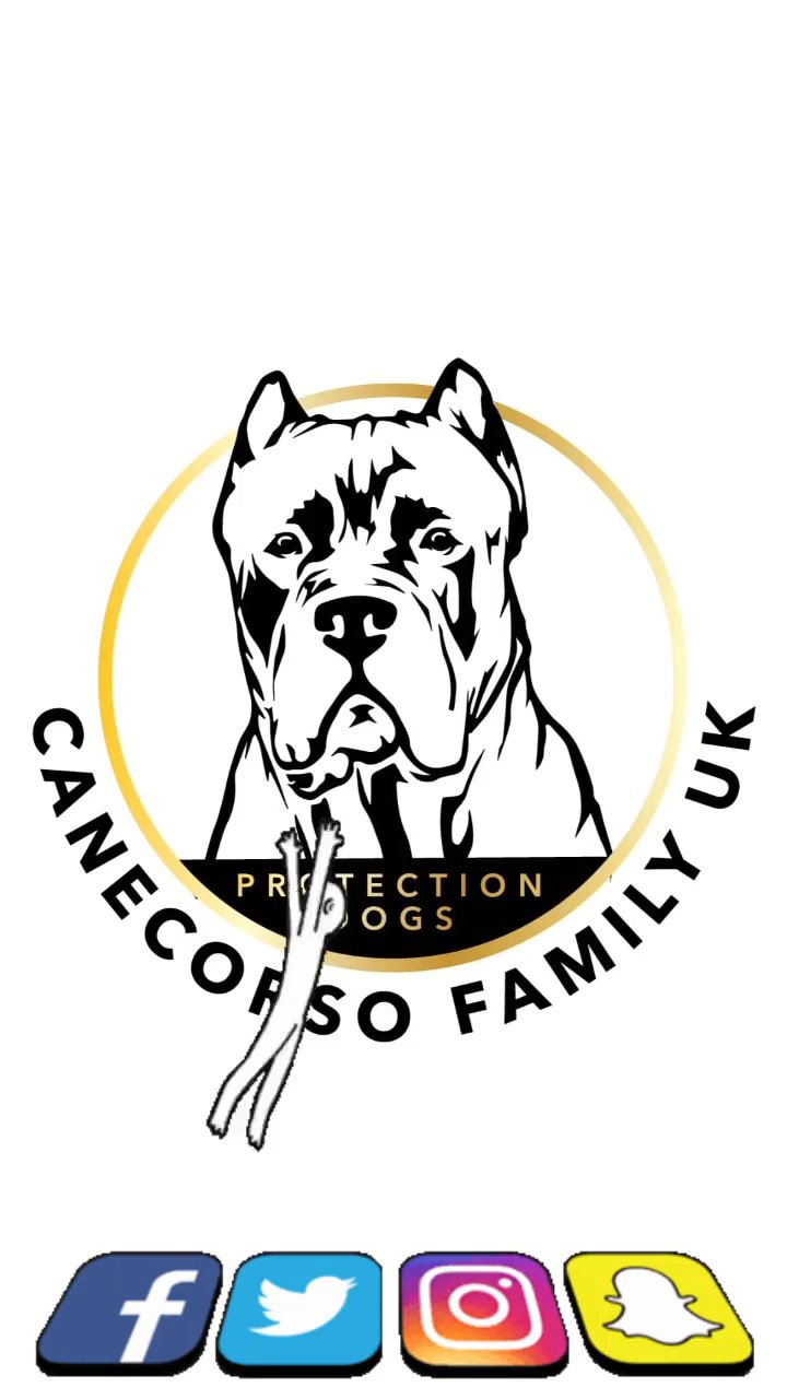canecorsofamilyuk