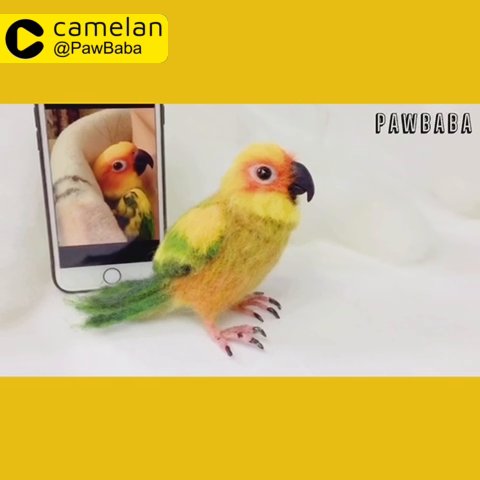 Needle Felted Parrot