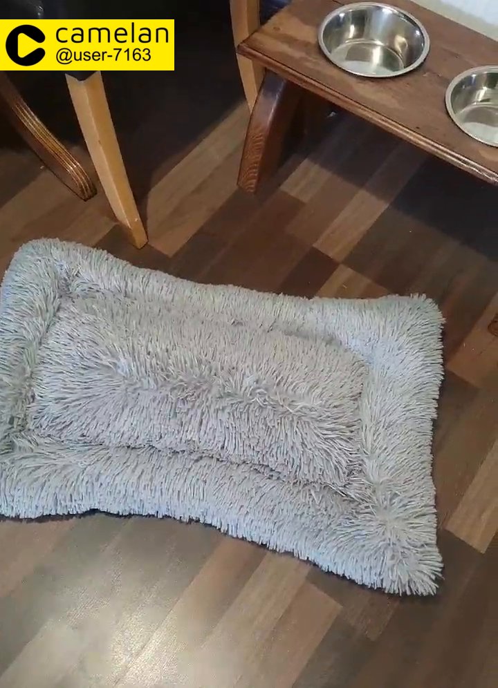 dog beds