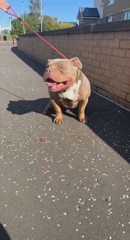 Odin