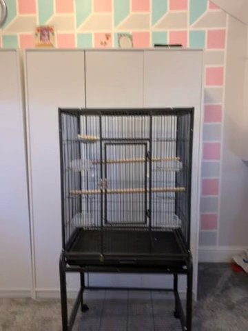 birdcage (parrot, budgie)