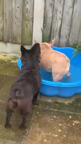 Playtime