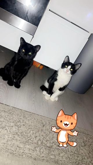 Two Boys 6months
