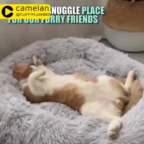FLUFFYPLUSH BED™ CALMING ANTI ANXIETY,Pets Bed