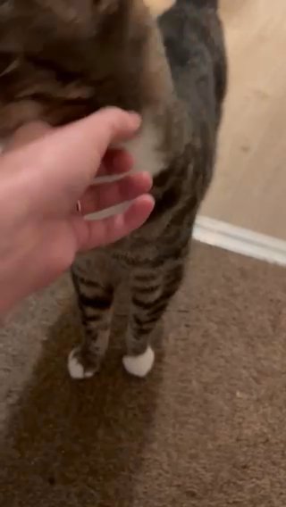 Lulu 12 Year Old