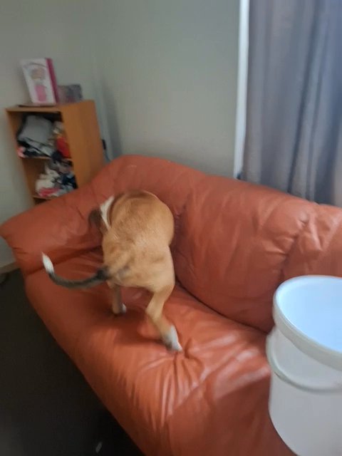 max