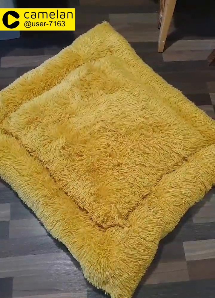 dog beds