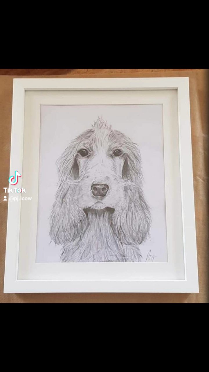 Pet portrait