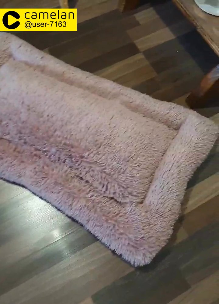 dog beds