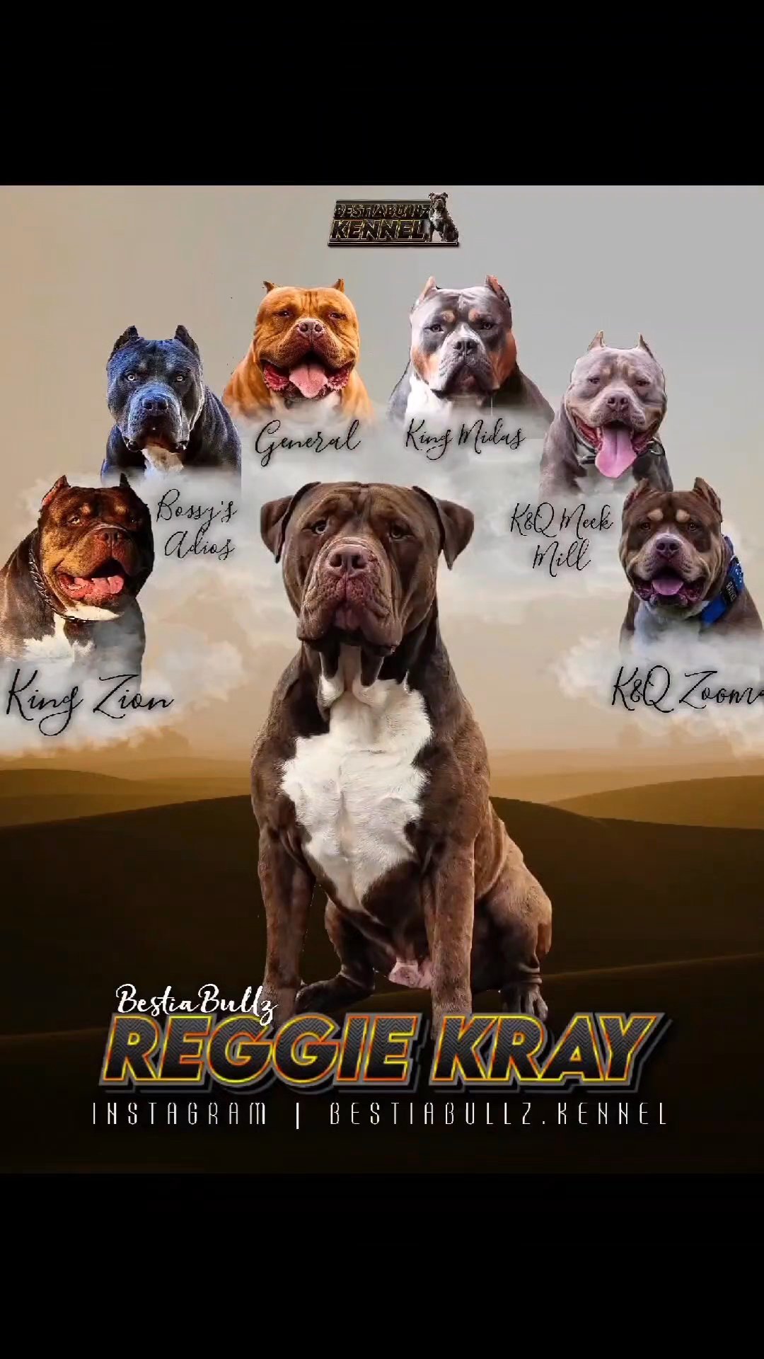 Reggie Kray Open for stud