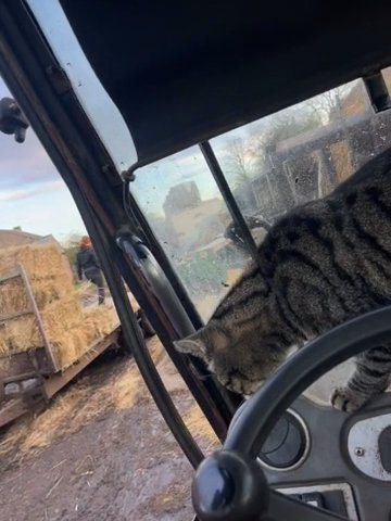 Conventional Bales Of Hay And Straw