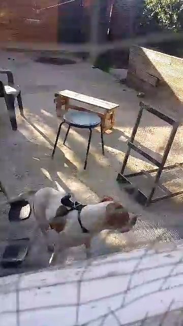 Icee having fun