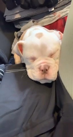 last Female Available!!