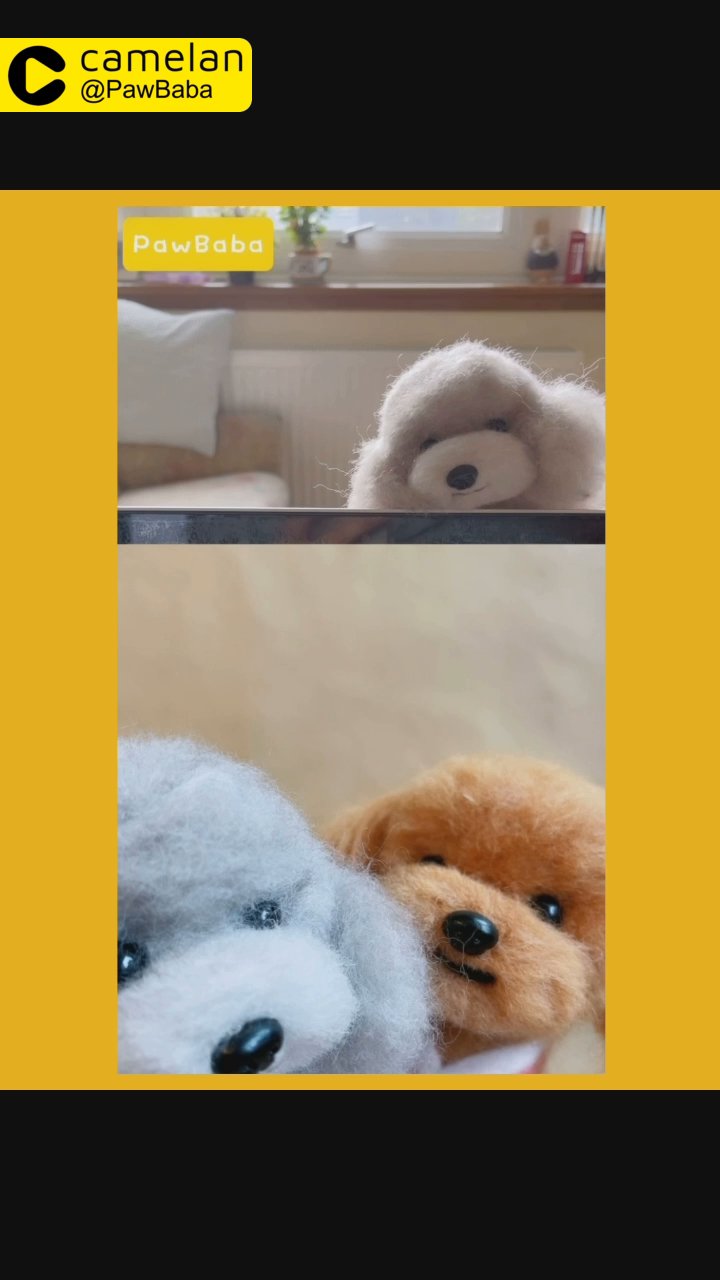 Needle Felted Bichon(Ready to Ship)