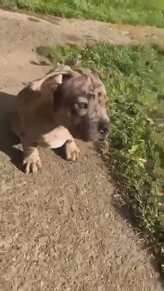Chillaxing In The Sunshine ??❤️‍?