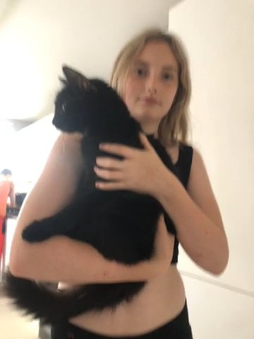 Female Cat