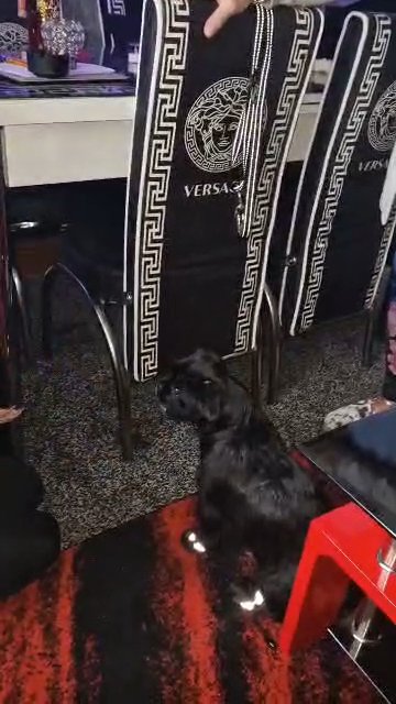 Arlo