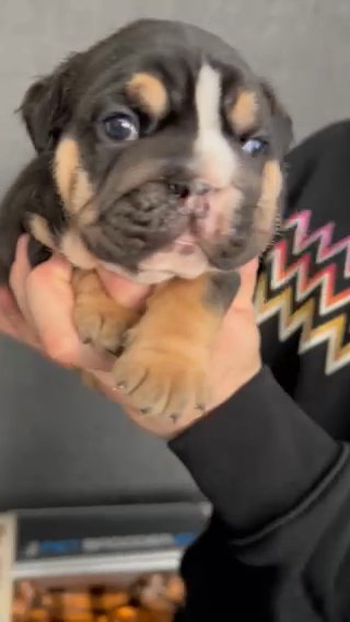 boy