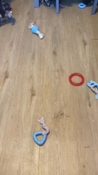 Love Some Puppy Play Time ??