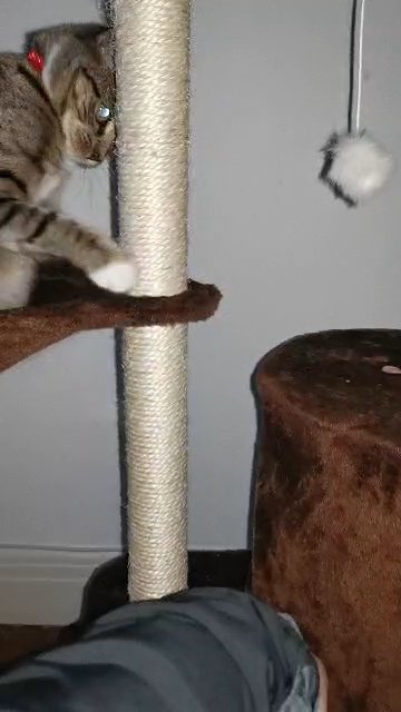 luna