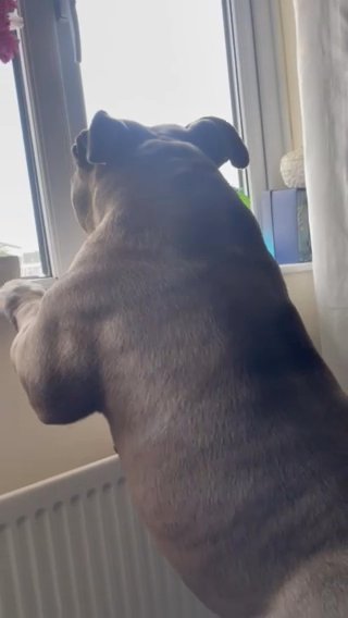 Reggie Just Being Reggie