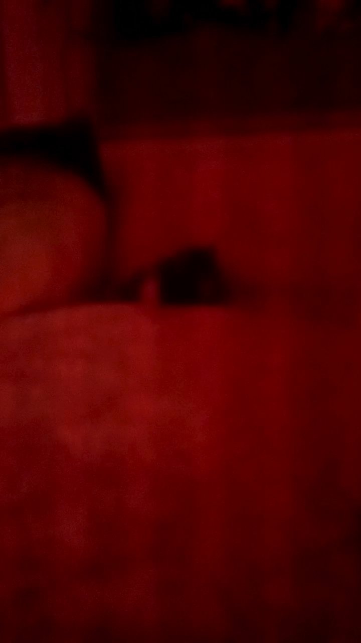 Sryian hamster female comes with a cage with accessories food a ball she's 7 months old very loved and loving just don't have time for her right now ?