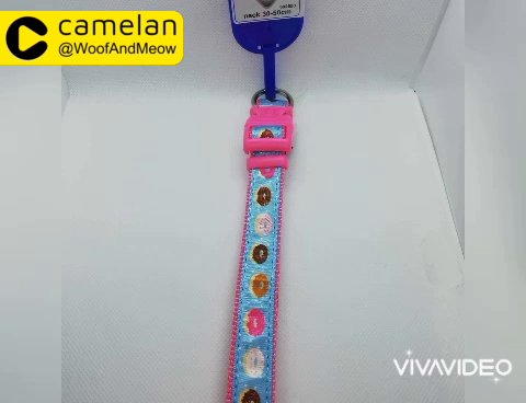 Dog Collars And Leads